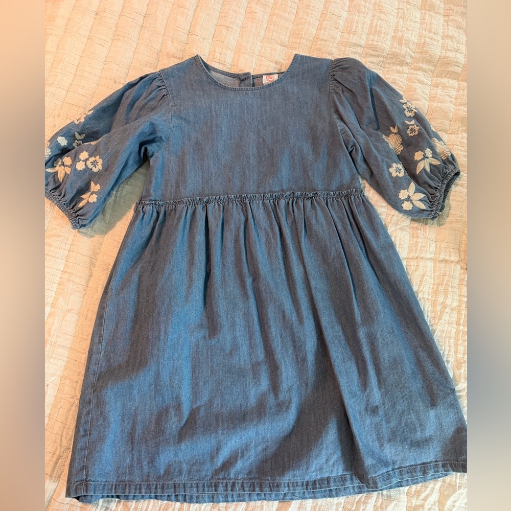 wonder nation Blue Chambray Dress with Puff Sleeves and White Floral Embroidery